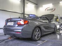 DTE-Systems BMW M235i (2015) - picture 5 of 10