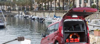 Fiat Doblo (2015) - picture 20 of 20