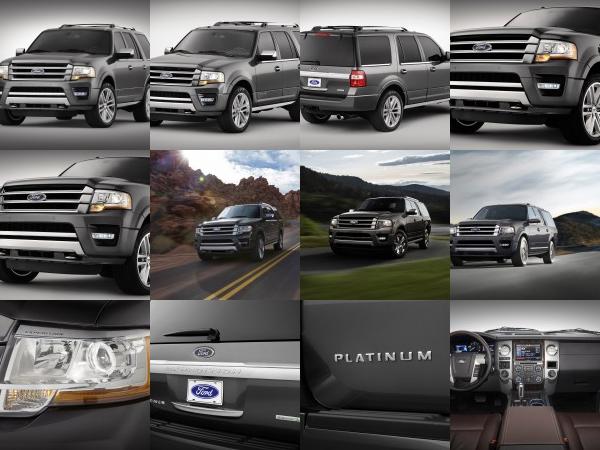Ford Expedition EcoBoost V6 (2015) - picture 1 of 14