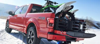 Ford F-150 (2015) - picture 4 of 5