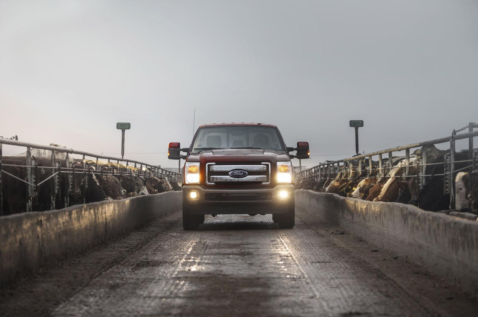 Ford King Ranch Lineup