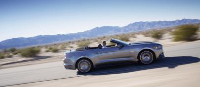 Ford Mustang Convertible (2015) - picture 4 of 9