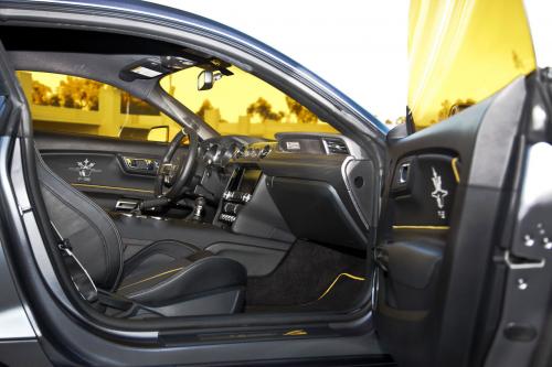 Ford Mustang F-35 Lightning II Edition (2015) - picture 8 of 10