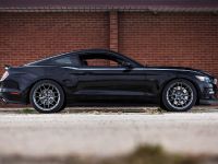 Ford Mustang RTR (2015) - picture 7 of 11