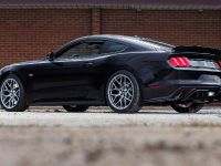 Ford Mustang RTR (2015) - picture 8 of 11
