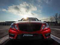 Fostla Mercedes-Benz E 63 AMG W212 (2015) - picture 6 of 15