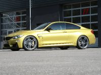 G-Power BMW M4 F82 Bi-Tronik (2015) - picture 3 of 9