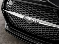 GAS-Fisker Ford Mustang Rocket (2015) - picture 38 of 42