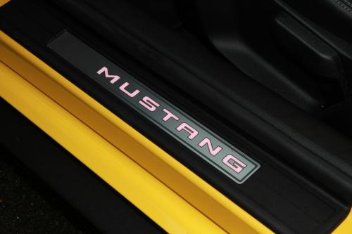 GeigerCars Ford Mustang Fastback GT Premium (2015) - picture 8 of 14