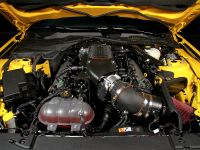 GeigerCars Ford Mustang Fastback GT Premium (2015) - picture 13 of 14