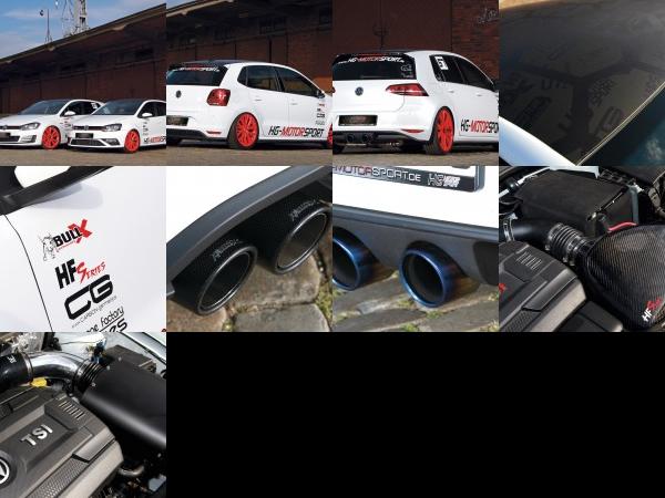 HG-Motorsport Volkswagen Golf 7 GTI and Polo 6C GTI (2015) - picture 1 of 9