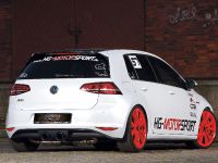 HG-Motorsport Volkswagen Golf 7 GTI and Polo 6C GTI (2015) - picture 3 of 9