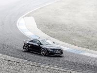 HPerformance Audi TT RS Clubsport (2015) - picture 5 of 16