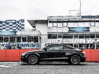 HPerformance Audi TT RS Clubsport (2015) - picture 7 of 16