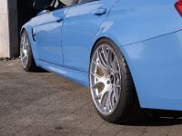 Kaege BMW M3 (2015) - picture 5 of 11