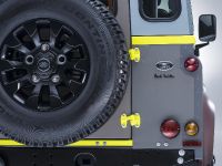 Land Rover Defender Paul Smith Special Edition (2015) - picture 21 of 21