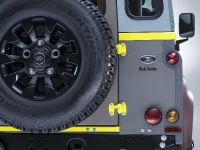 Land Rover Defender Paul Smith Special Edition (2015)