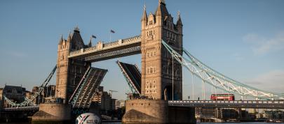 Land Rover Rugby World Cup Defender (2015) - picture 15 of 22