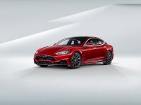 LARTE Tesla Model S (2015) - picture 3 of 8
