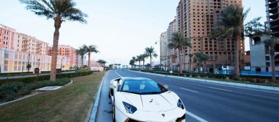 Maatouk Design Lamborghini Aventador Roadster (2015) - picture 4 of 14