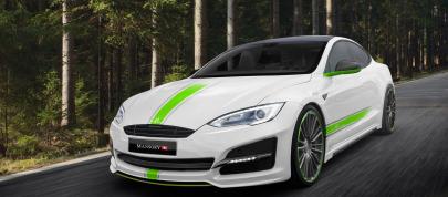 2015 Mansory Tesla Model S 2015 Mansory Tesla Model S