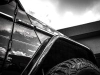 Mcchip-dkr Mercedes-Benz G 63 AMG MC-800 (2015)