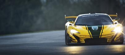 McLaren P1 GTR Limited Edition (2015) - picture 15 of 18