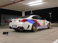 M&D BMW 650i PD6XX GT3 (2015) - picture 4 of 15