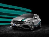 Mercedes-AMG A45 4MATIC Champions Edition (2015) - picture 1 of 4