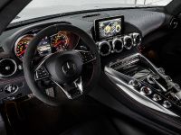 2015 Mercedes-AMG GT S Safety Car