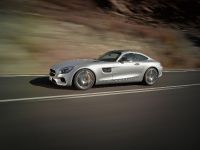 Mercedes AMG GT (2015) - picture 10 of 82
