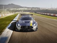 Mercedes-Benz AMG GT3 (2015) - picture 1 of 4