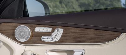 Mercedes-Benz C-Class Estate (2015) - picture 36 of 41