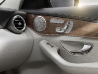 Mercedes Benz C-Class (2015) - picture 34 of 37