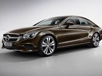 Mercedes-Benz CLS Sport Package (2015) - picture 1 of 3