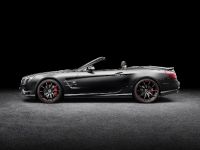 Mercedes-Benz SL Mille Miglia 417 Edition (2015) - picture 3 of 7