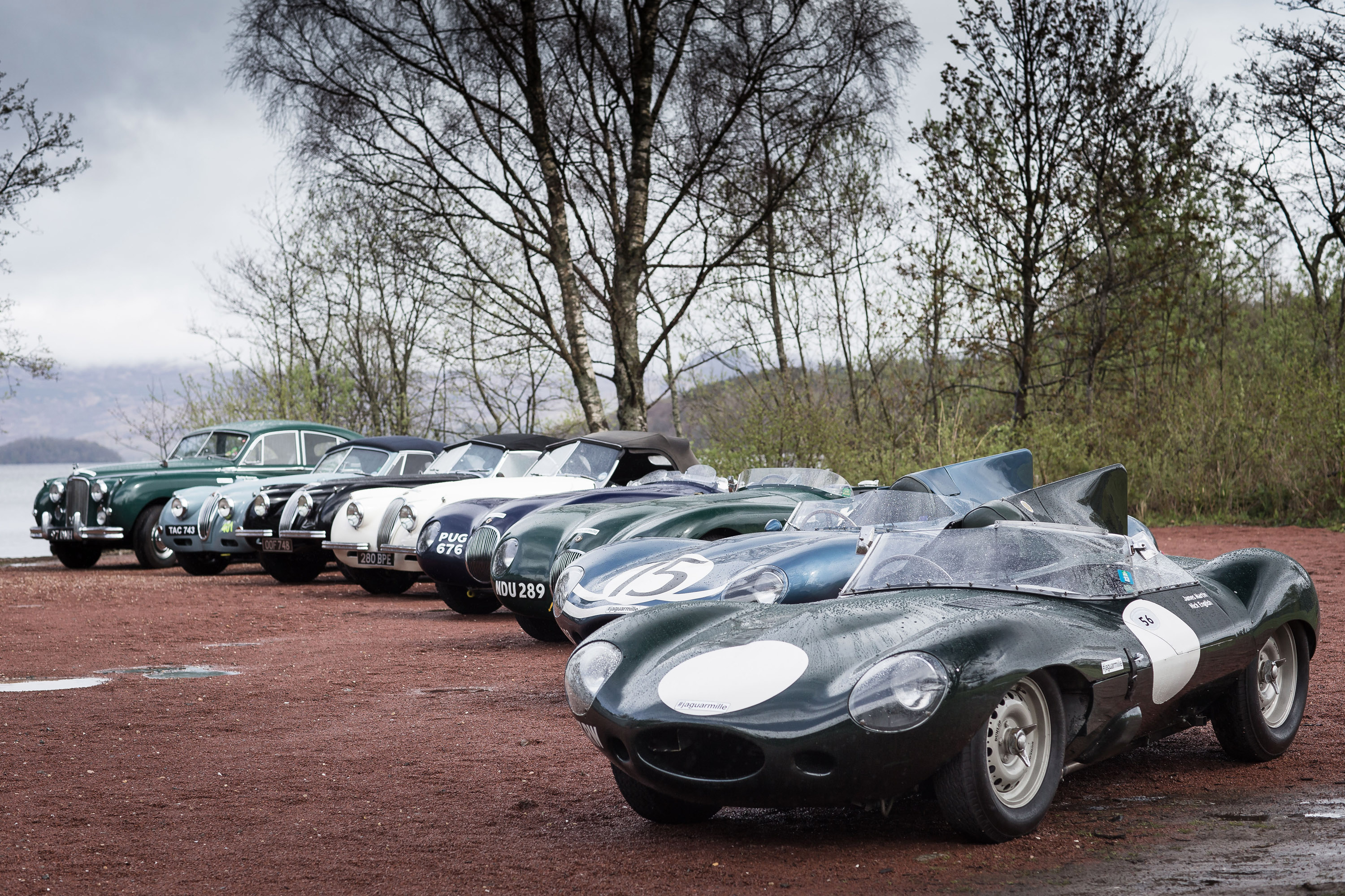 Mille Migia Classic Jaguar models