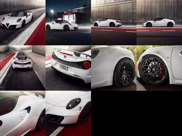 Pogea Racing 4C Centurion 1 Plus (2015) - picture 1 of 10