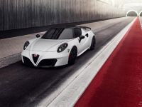 Pogea Racing 4C Centurion 1 Plus (2015) - picture 1 of 10