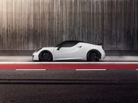 Pogea Racing 4C Centurion 1 Plus (2015) - picture 4 of 10