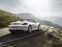 Porsche Boxster Spyder (2015) - picture 10 of 10
