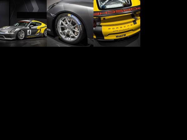 Porsche Cayman GT4 Clubsport (2015) - picture 1 of 3