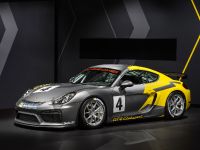 Porsche Cayman GT4 Clubsport (2015) - picture 1 of 3