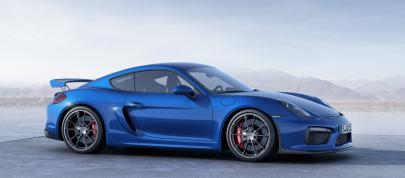 Porsche Cayman GT4 (2015) - picture 4 of 6