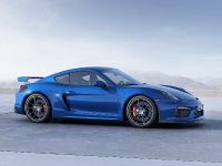 Porsche Cayman GT4 (2015) - picture 4 of 6