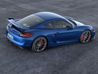 Porsche Cayman GT4 (2015) - picture 5 of 6