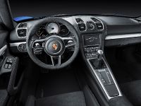 Porsche Cayman GT4 (2015) - picture 6 of 6