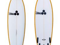 Mini Surfboard (2015)