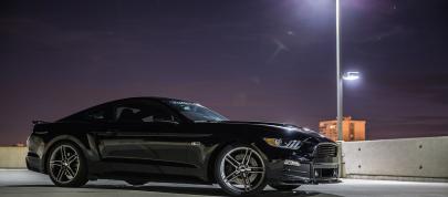 2015 Roush Ford Mustang Lineup (2014) - picture 4 of 14