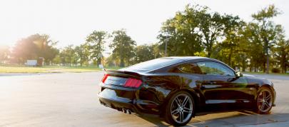 2015 Roush Ford Mustang Lineup (2014) - picture 12 of 14